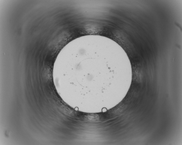 X0000102790317200809081055