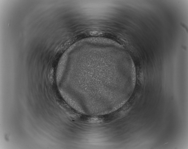 X0000102790319200809081055