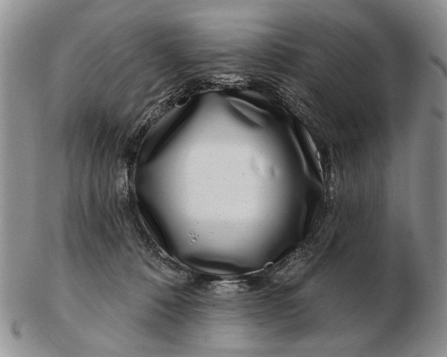 X0000102790320200809081055