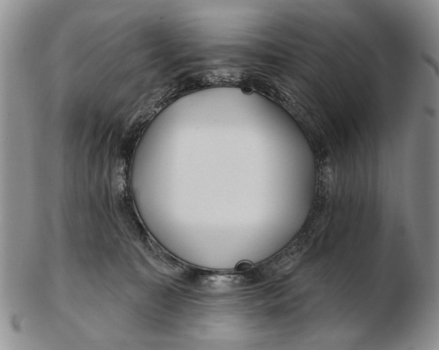 X0000102790323200809081055