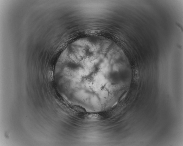 X0000102790324200809081055