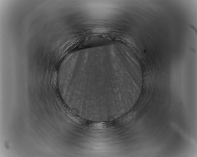 X0000102790325200809081055