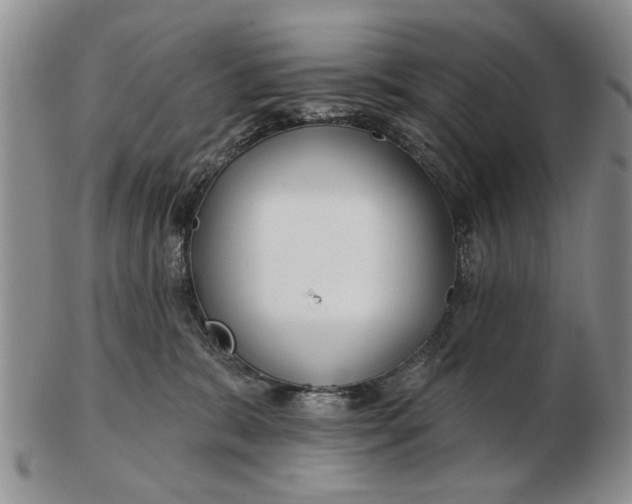 X0000102790327200809081055