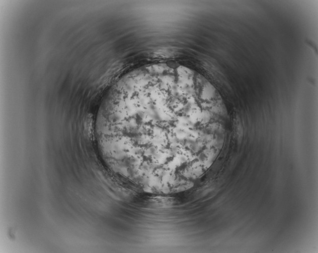 X0000102790328200809081055