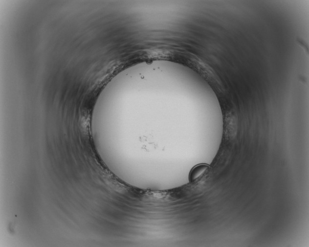 X0000102790329200809081055