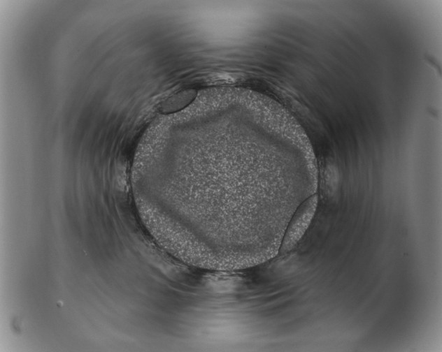 X0000102790331200809081055