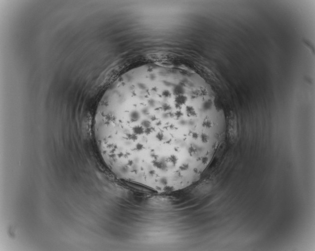 X0000102790332200809081055