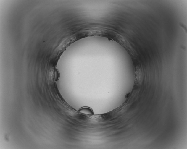 X0000102790333200809081055