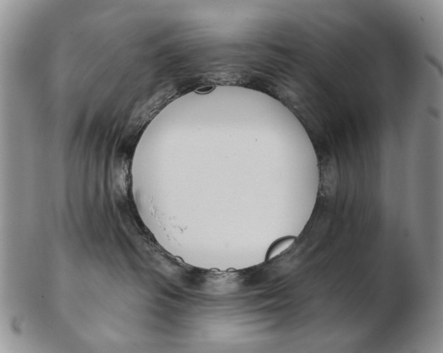 X0000102790334200809081055