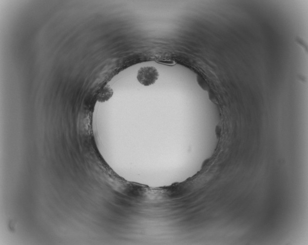 X0000102790336200809081055