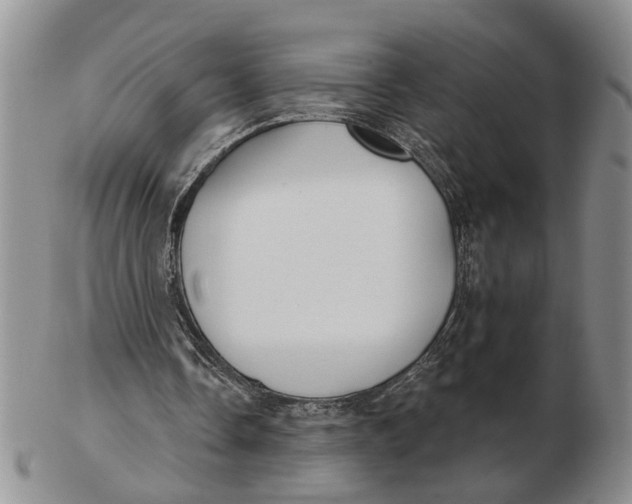 X0000102790338200809081054