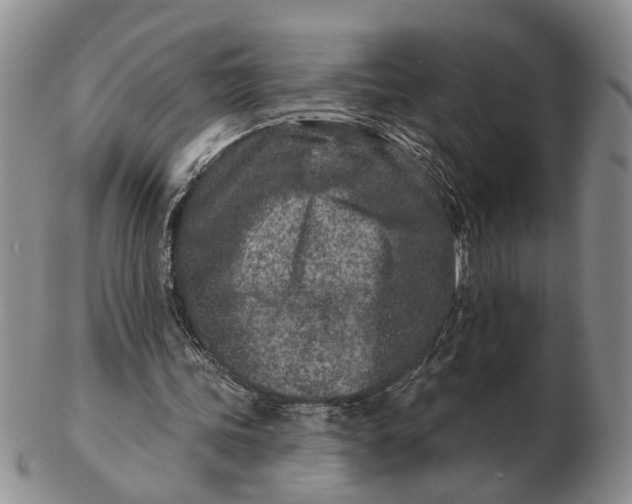 X0000102790339200809081054