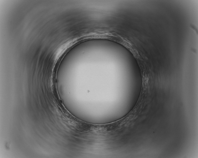 X0000102790340200809081054