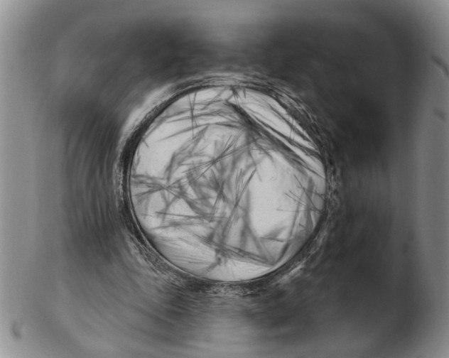 X0000102790343200809081054