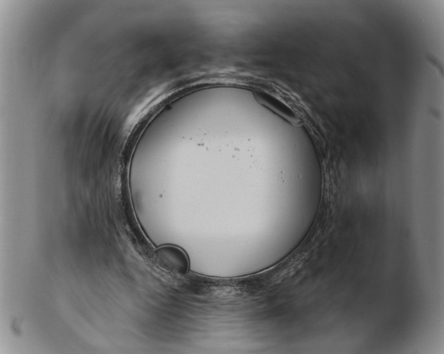 X0000102790344200809081054