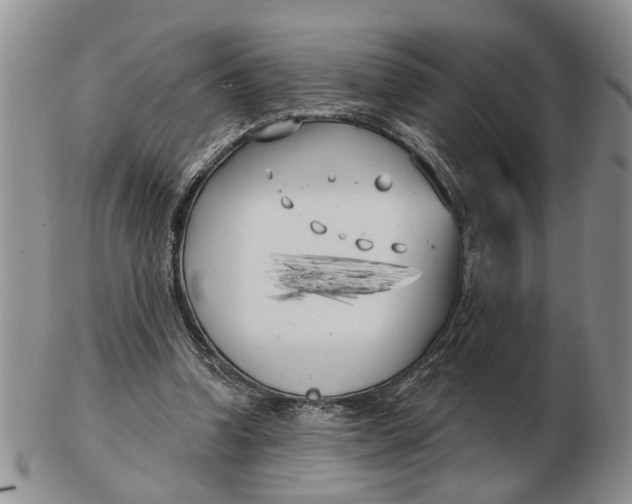 X0000102790346200809081054