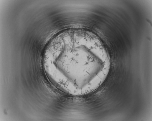 X0000102790347200809081054