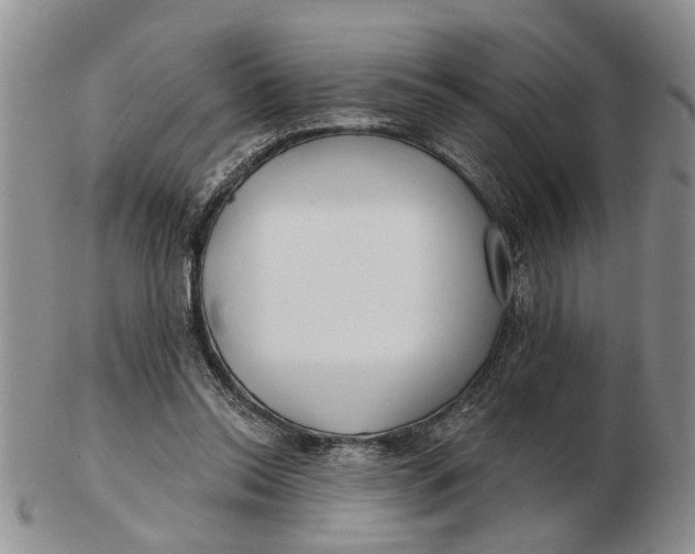 X0000102790350200809081054