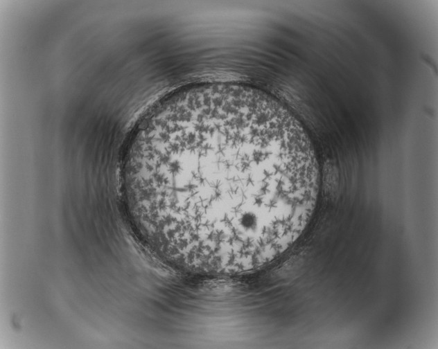 X0000102790351200809081054