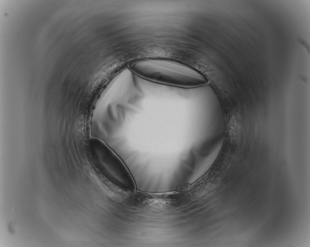 X0000102790352200809081054