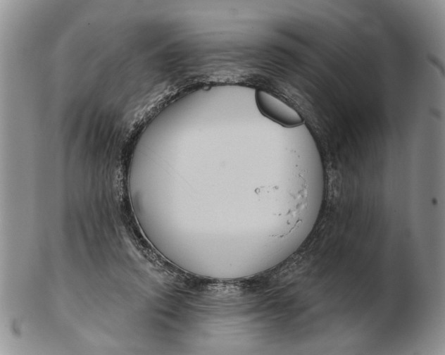 X0000102790354200809081054