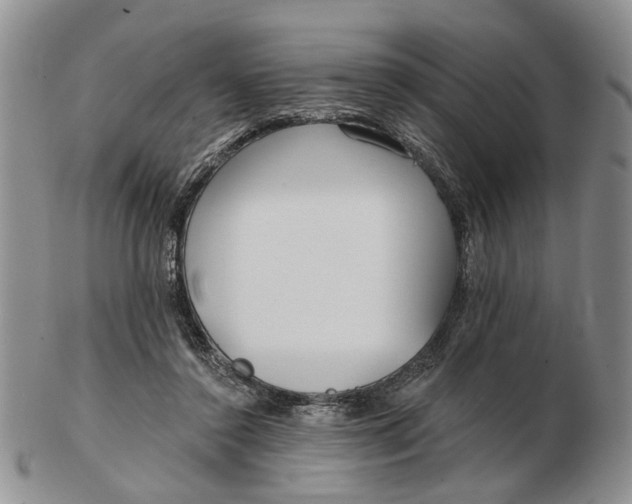 X0000102790356200809081054