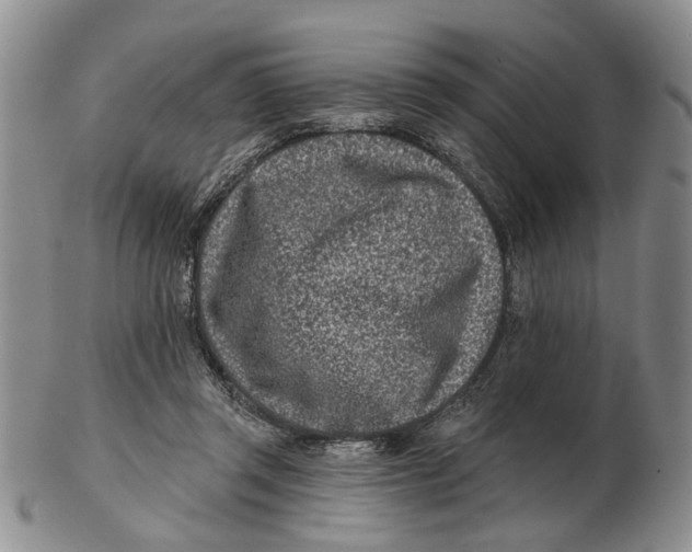 X0000102790357200809081055