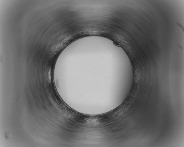 X0000102790358200809081055