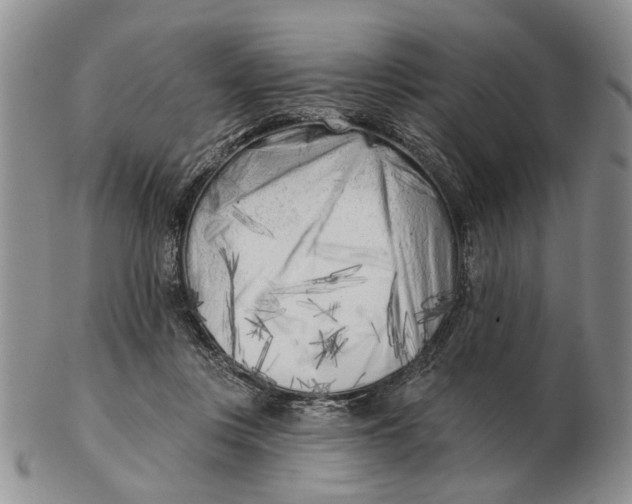 X0000102790359200809081055