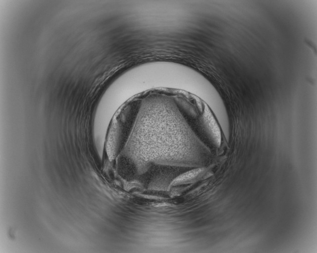 X0000102790360200809081055