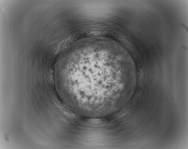 X0000102790361200809081055