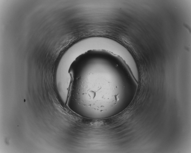 X0000102790362200809081055