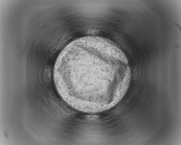 X0000102790363200809081055