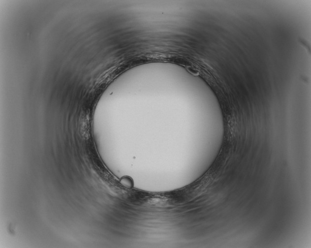 X0000102790364200809081055