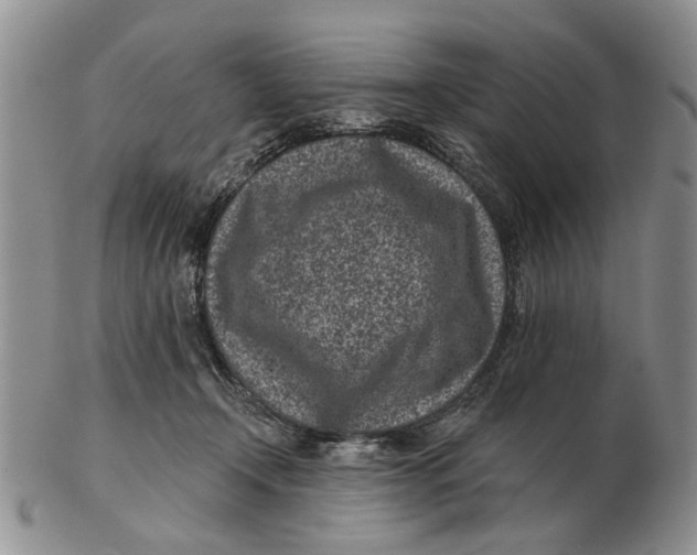 X0000102790366200809081055