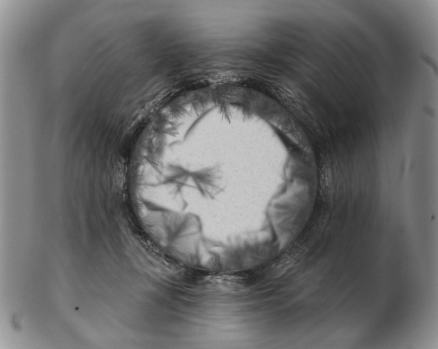 X0000102790367200809081055