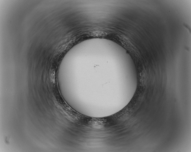 X0000102790368200809081055