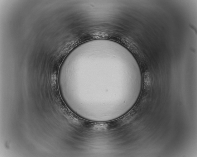 X0000102790369200809081055