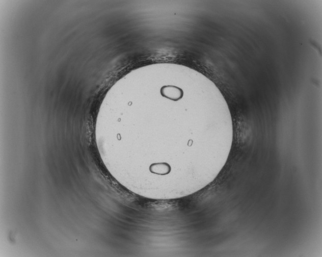 X0000102790370200809081055