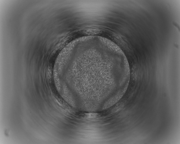 X0000102790371200809081055