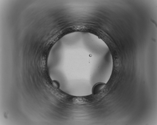 X0000102790372200809081055