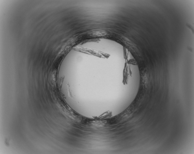 X0000102790373200809081055