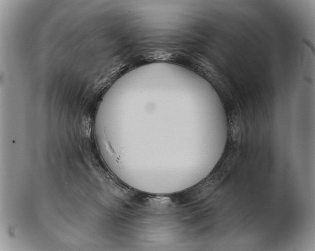 X0000102790374200809081055