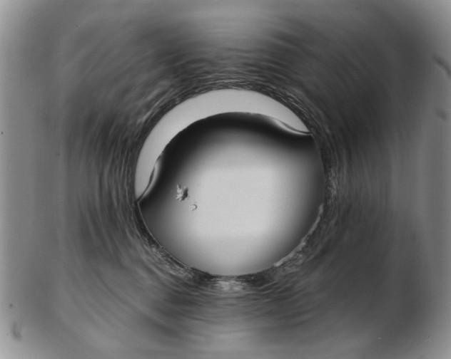 X0000102790376200809081055