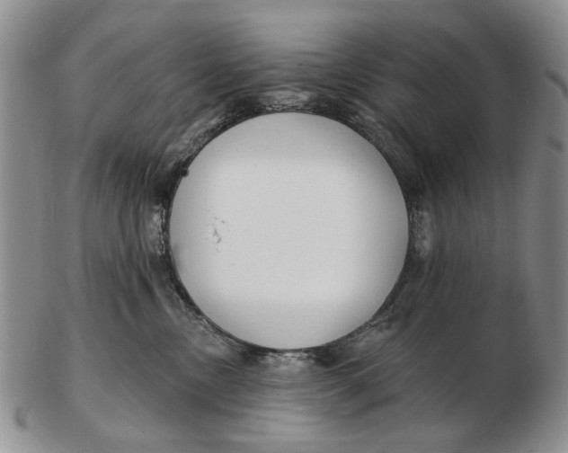 X0000102790378200809081055