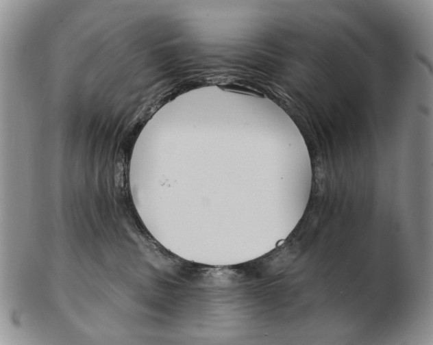 X0000102790379200809081055