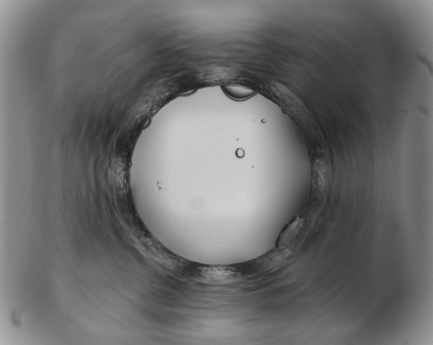 X0000102790380200809081055