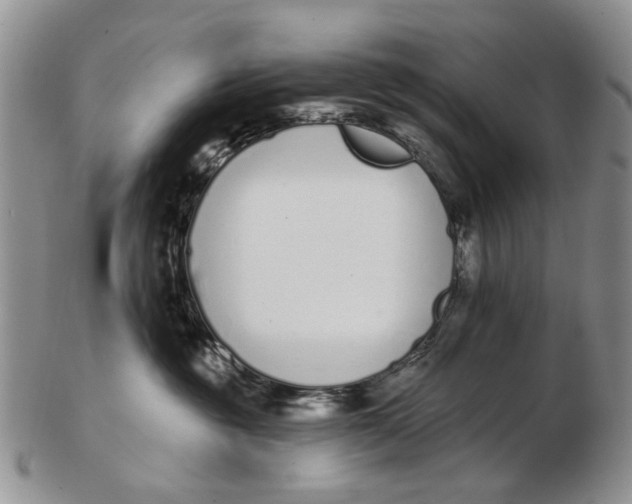 X0000102790381200809081055