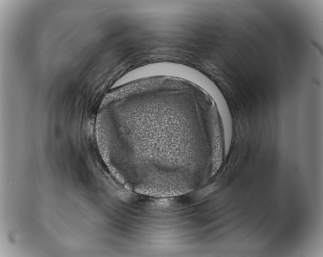 X0000102790382200809081055