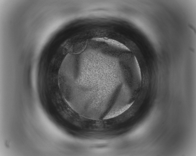 X0000102790383200809081055